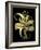 Dramatic Aloe I-Basilius Besler-Framed Art Print