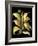 Dramatic Aloe II-Basilius Besler-Framed Art Print