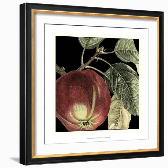 Dramatic Apple-Vision Studio-Framed Art Print