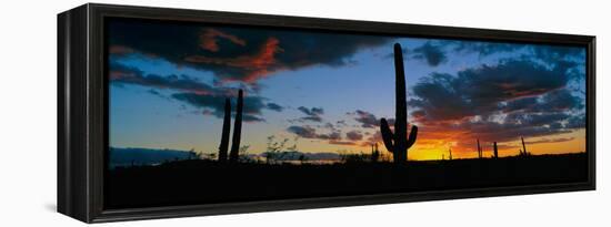 Dramatic Arizona Desert Sunset-null-Framed Stretched Canvas