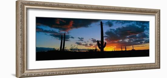Dramatic Arizona Desert Sunset--Framed Photographic Print