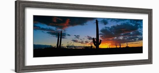 Dramatic Arizona Desert Sunset-null-Framed Photographic Print