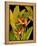 Dramatic Bird of Paradise-Tim O'toole-Framed Stretched Canvas