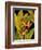 Dramatic Bird of Paradise-Tim O'toole-Framed Art Print