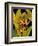 Dramatic Bird of Paradise-Tim O'toole-Framed Premium Giclee Print