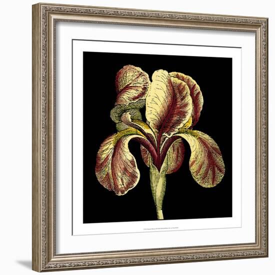 Dramatic Blooms VI-Vision Studio-Framed Art Print