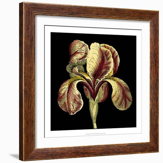 Dramatic Blooms VI-Vision Studio-Framed Art Print