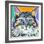 Dramatic Cats I-Carolee Vitaletti-Framed Art Print