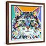 Dramatic Cats I-Carolee Vitaletti-Framed Art Print