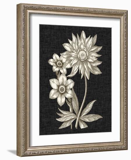 Dramatic Chintz I-Vision Studio-Framed Art Print