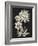 Dramatic Chintz I-Vision Studio-Framed Art Print