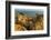 Dramatic Cliffs along the coast at Ponta da Piedade in Lagos, Portugal-Chuck Haney-Framed Photographic Print