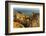 Dramatic Cliffs along the coast at Ponta da Piedade in Lagos, Portugal-Chuck Haney-Framed Photographic Print