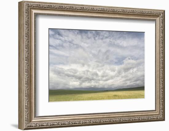 Dramatic Clouds Above Wheat Field, Palouse Region of Eastern Washington-Adam Jones-Framed Photographic Print