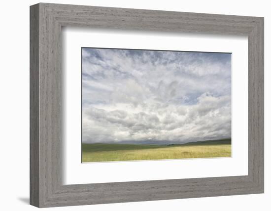 Dramatic Clouds Above Wheat Field, Palouse Region of Eastern Washington-Adam Jones-Framed Photographic Print