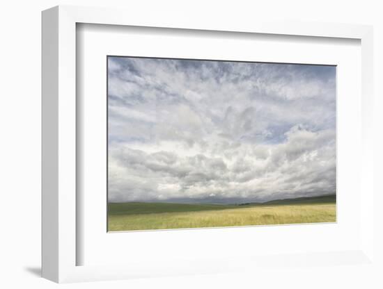 Dramatic Clouds Above Wheat Field, Palouse Region of Eastern Washington-Adam Jones-Framed Photographic Print