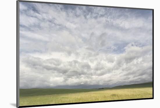 Dramatic Clouds Above Wheat Field, Palouse Region of Eastern Washington-Adam Jones-Mounted Photographic Print