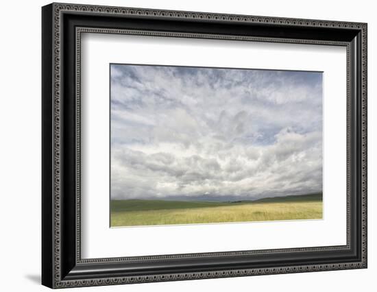 Dramatic Clouds Above Wheat Field, Palouse Region of Eastern Washington-Adam Jones-Framed Photographic Print