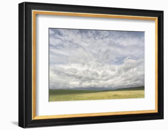 Dramatic Clouds Above Wheat Field, Palouse Region of Eastern Washington-Adam Jones-Framed Photographic Print