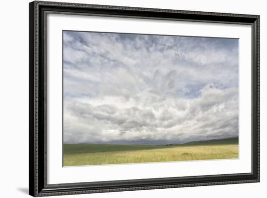 Dramatic Clouds Above Wheat Field, Palouse Region of Eastern Washington-Adam Jones-Framed Photographic Print