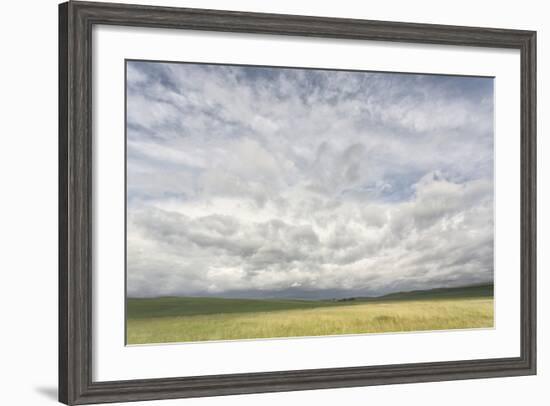 Dramatic Clouds Above Wheat Field, Palouse Region of Eastern Washington-Adam Jones-Framed Photographic Print