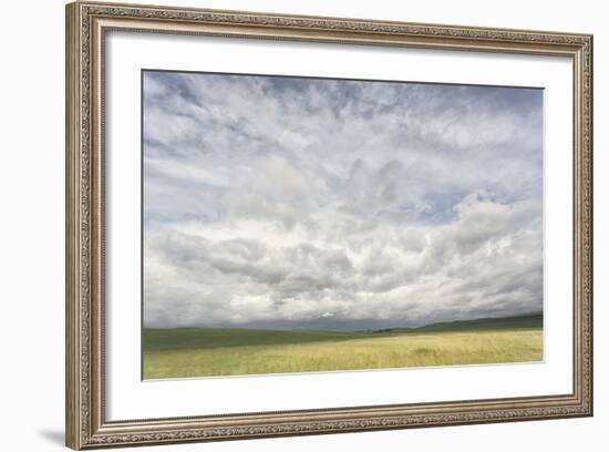 Dramatic Clouds Above Wheat Field, Palouse Region of Eastern Washington-Adam Jones-Framed Photographic Print