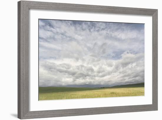 Dramatic Clouds Above Wheat Field, Palouse Region of Eastern Washington-Adam Jones-Framed Photographic Print