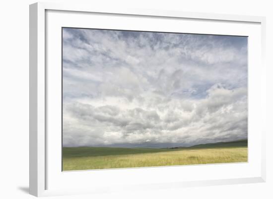 Dramatic Clouds Above Wheat Field, Palouse Region of Eastern Washington-Adam Jones-Framed Photographic Print