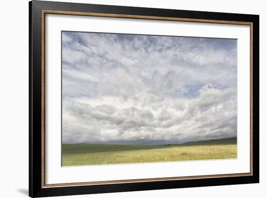 Dramatic Clouds Above Wheat Field, Palouse Region of Eastern Washington-Adam Jones-Framed Photographic Print