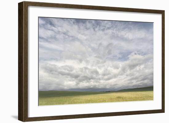 Dramatic Clouds Above Wheat Field, Palouse Region of Eastern Washington-Adam Jones-Framed Photographic Print