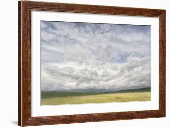 Dramatic Clouds Above Wheat Field, Palouse Region of Eastern Washington-Adam Jones-Framed Photographic Print