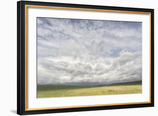 Dramatic Clouds Above Wheat Field, Palouse Region of Eastern Washington-Adam Jones-Framed Photographic Print