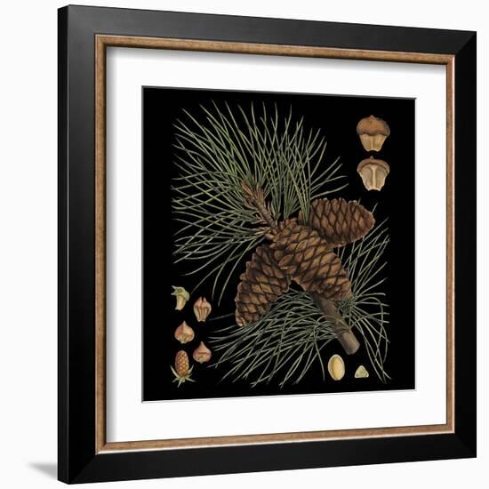 Dramatic Conifers V-Vision Studio-Framed Art Print