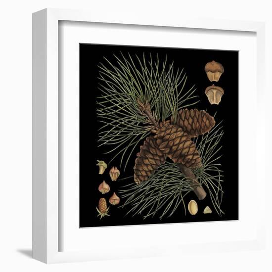 Dramatic Conifers V-Vision Studio-Framed Art Print