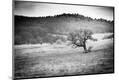 Premium Photographic Print