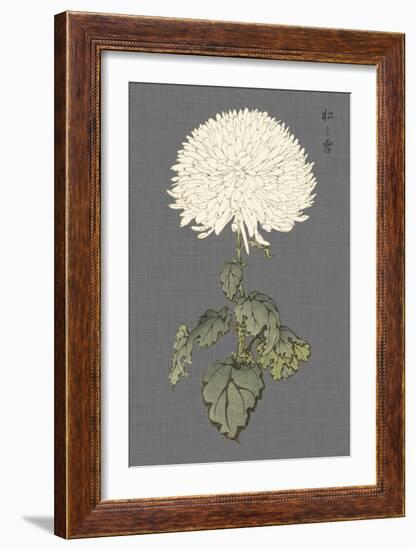 Dramatic Ivory Mums I-Vision Studio-Framed Art Print