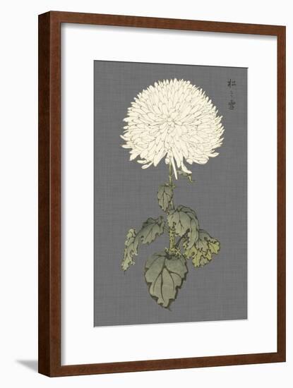 Dramatic Ivory Mums I-Vision Studio-Framed Art Print