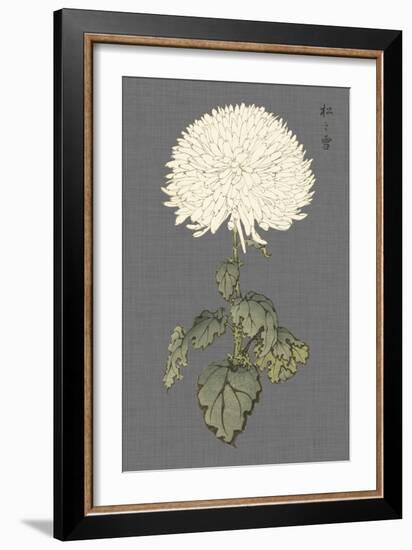 Dramatic Ivory Mums I-Vision Studio-Framed Art Print