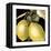 Dramatic Lemon-Vision Studio-Framed Stretched Canvas