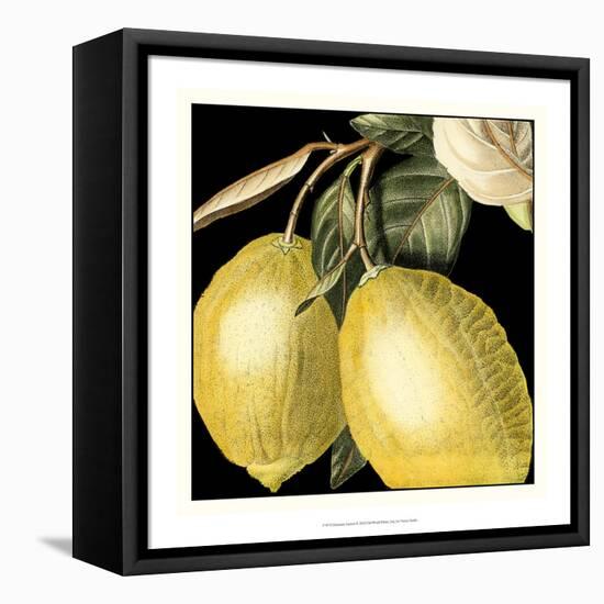 Dramatic Lemon-Vision Studio-Framed Stretched Canvas