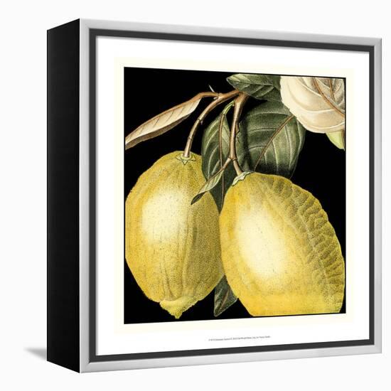Dramatic Lemon-Vision Studio-Framed Stretched Canvas