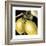 Dramatic Lemon-Vision Studio-Framed Art Print