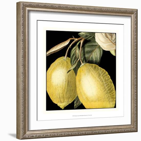 Dramatic Lemon-Vision Studio-Framed Art Print