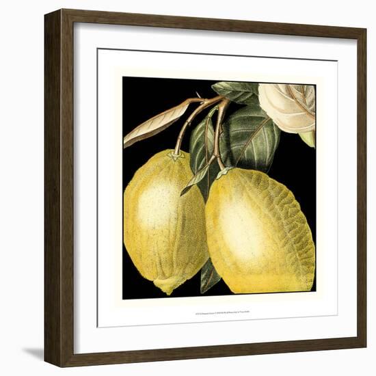 Dramatic Lemon-Vision Studio-Framed Art Print