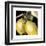 Dramatic Lemon-Vision Studio-Framed Art Print