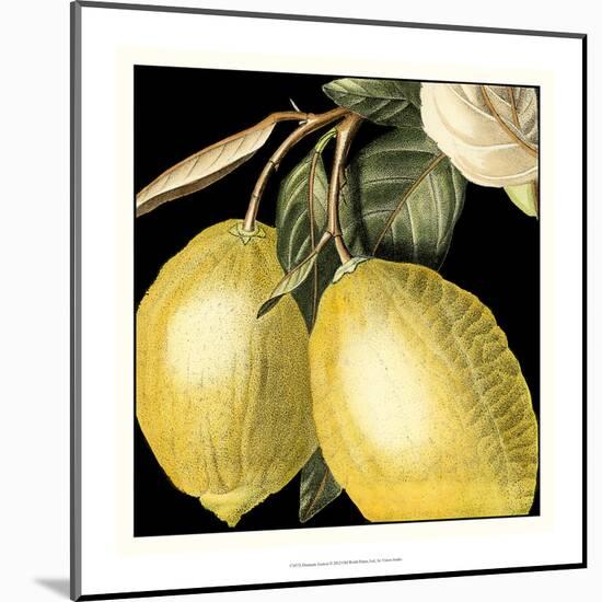 Dramatic Lemon-Vision Studio-Mounted Art Print