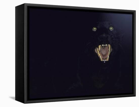 Dramatic of Black Panther, Camouflaged by Darkness, with Eyes and Open Mouth Visible-John Dominis-Framed Premier Image Canvas