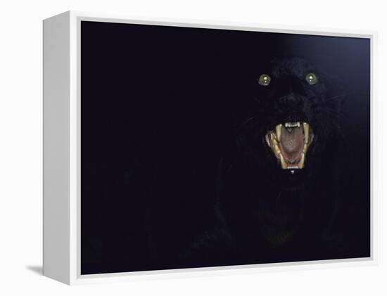 Dramatic of Black Panther, Camouflaged by Darkness, with Eyes and Open Mouth Visible-John Dominis-Framed Premier Image Canvas