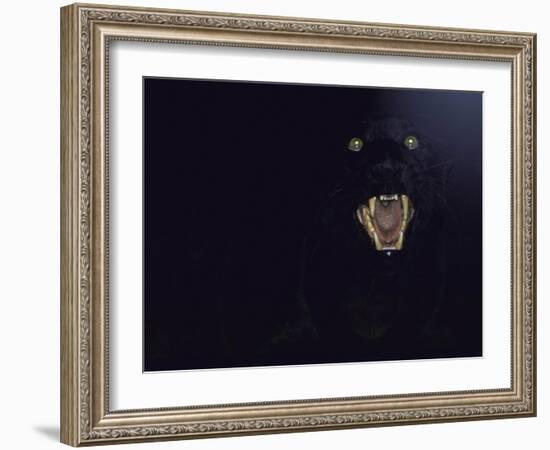 Dramatic of Black Panther, Camouflaged by Darkness, with Eyes and Open Mouth Visible-John Dominis-Framed Photographic Print