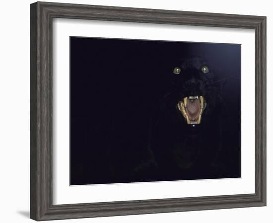 Dramatic of Black Panther, Camouflaged by Darkness, with Eyes and Open Mouth Visible-John Dominis-Framed Photographic Print